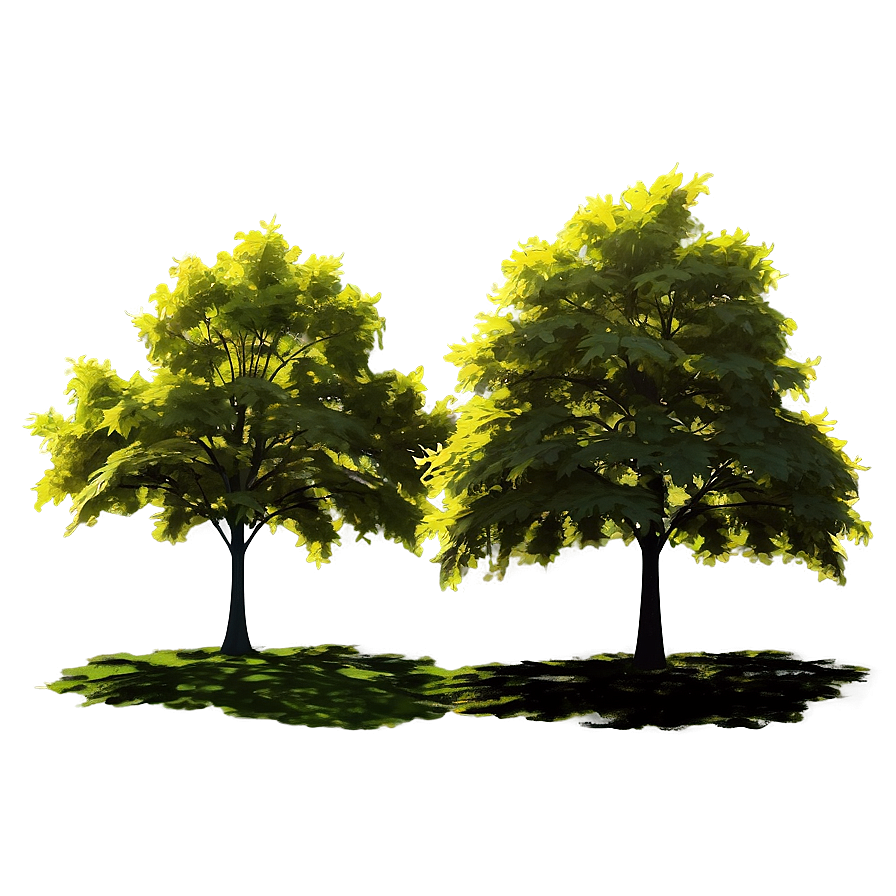 Sunlit Maple Tree Tranquility Png Elx59 PNG