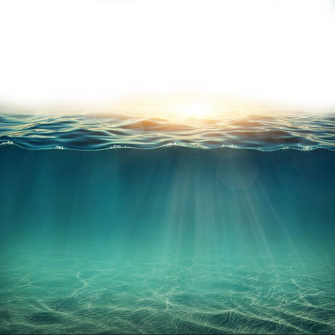 Sunlit Underwater Scene PNG
