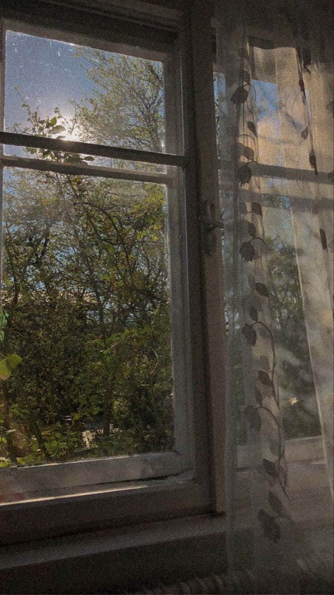 Sunlit Vintage Window View Wallpaper