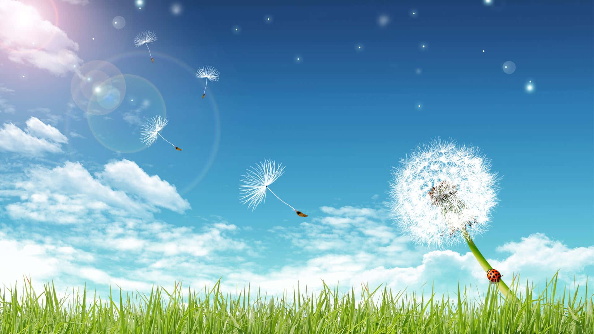 A Dandelion Blowing In The Wind In The Sky