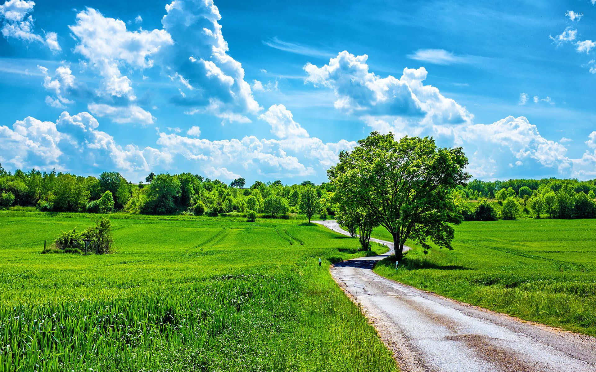 Sunny Country Road Landscape Wallpaper