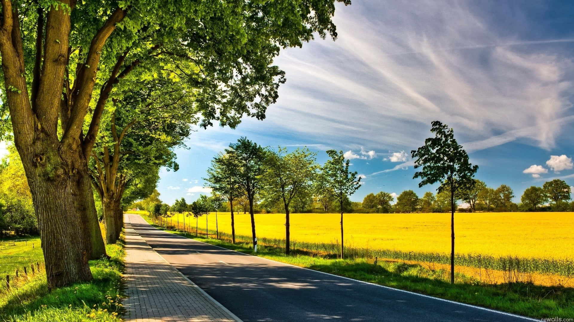 Sunny Countryside Road Wallpaper
