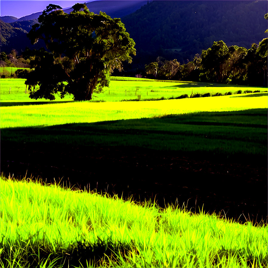 Sunny Countryside View Png Ito81 PNG