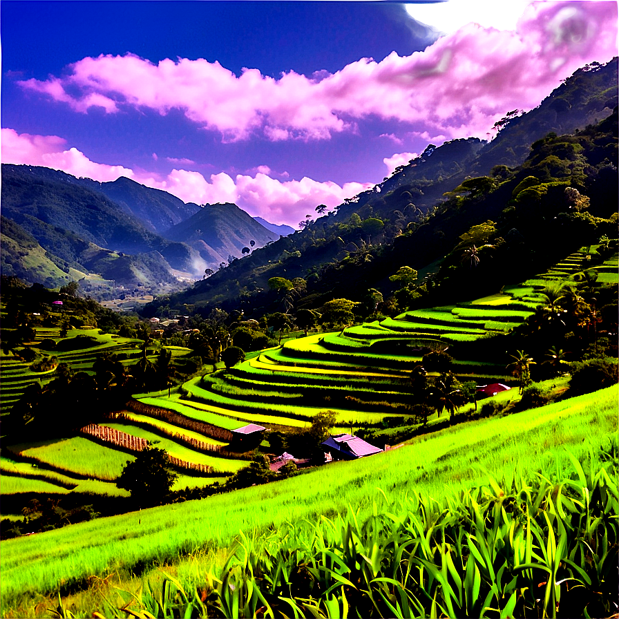 Sunny Countryside View Png Typ59 PNG