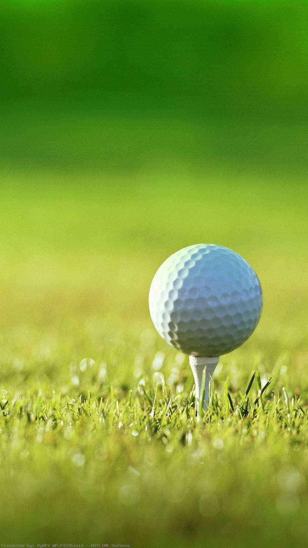 Download Sunny Day Golf Iphone Wallpaper 
