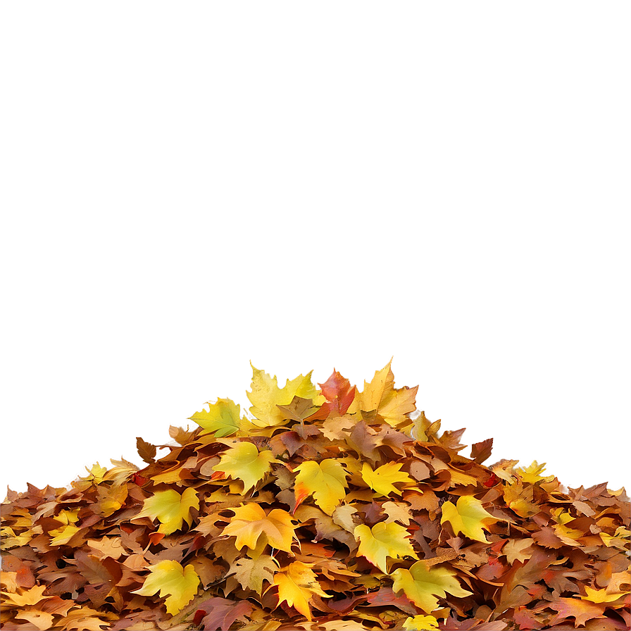 Sunny Day Leaf Pile Png 06202024 PNG