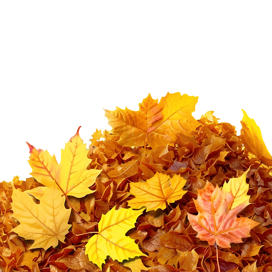 Sunny Day Leaf Pile Png Ovi PNG