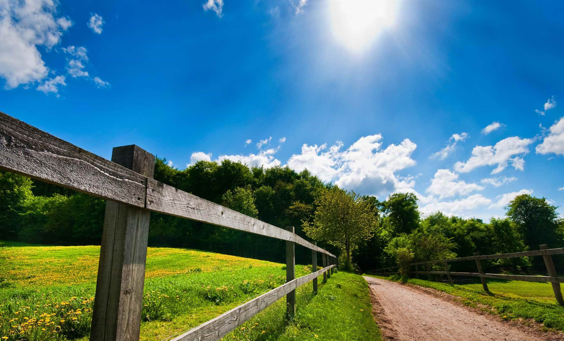 Lovely Pathway Skies Sunny Day Wallpaper