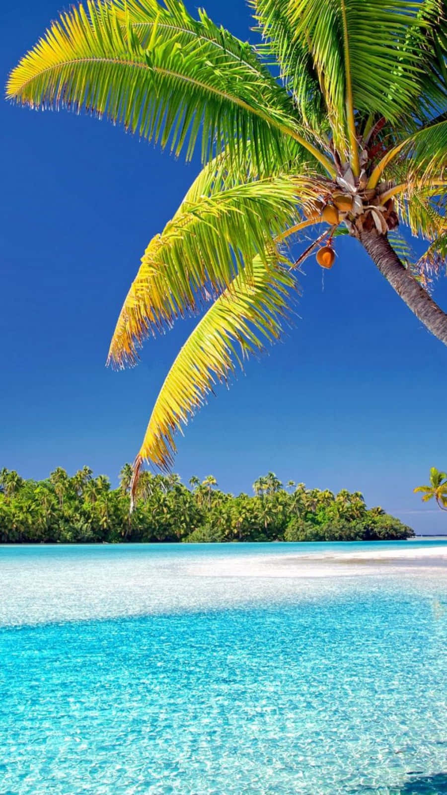 Díasoleado Hermosa Playa Tropical Fondo de pantalla