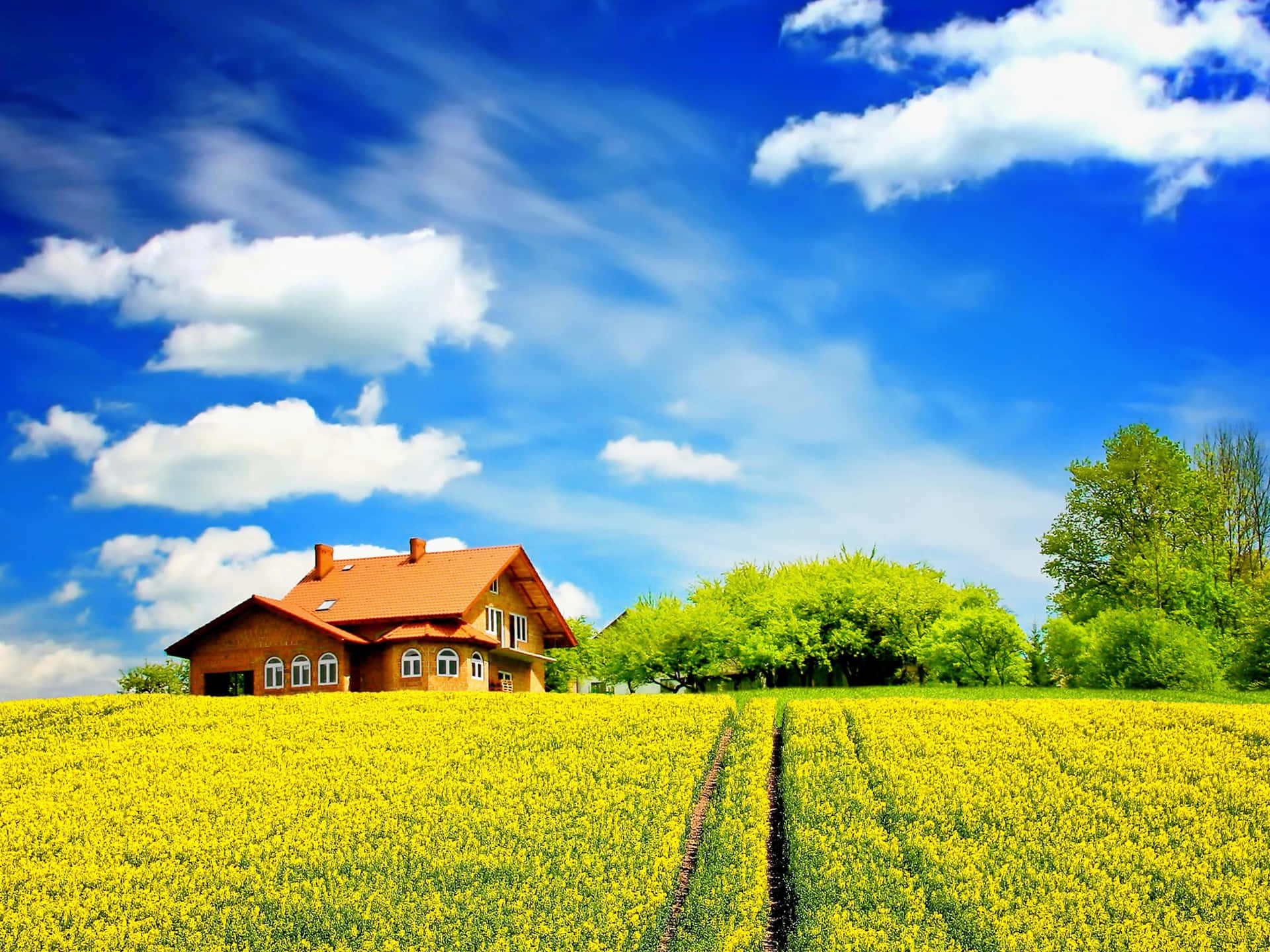 Download Colorful House Field Sunny Day Wallpaper