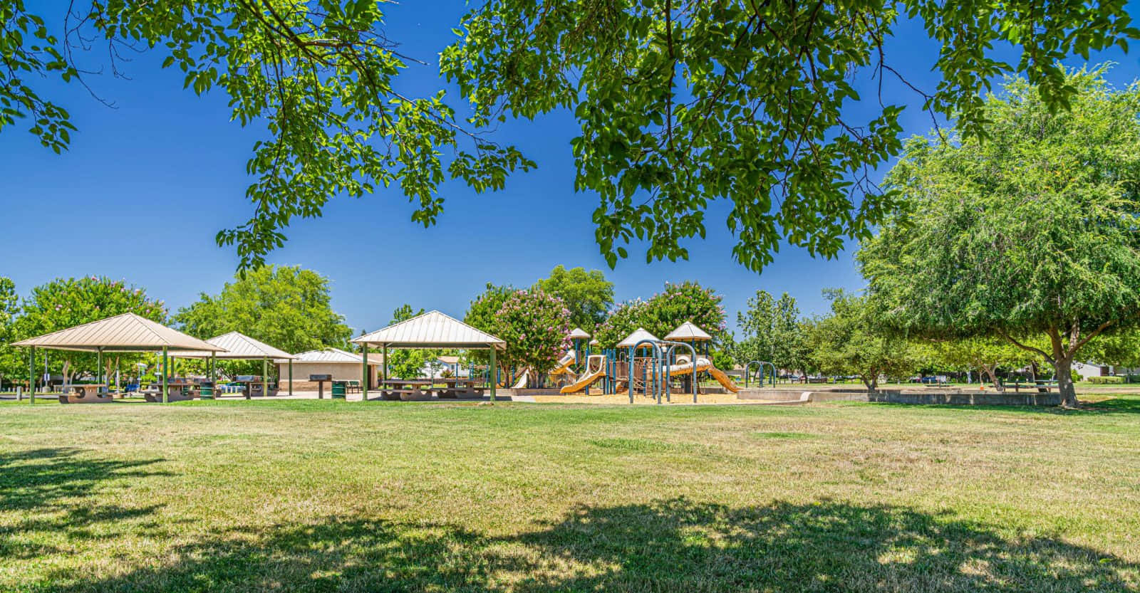 Zonnige Dag In Onafhankelijkheidspark Speeltuin Achtergrond