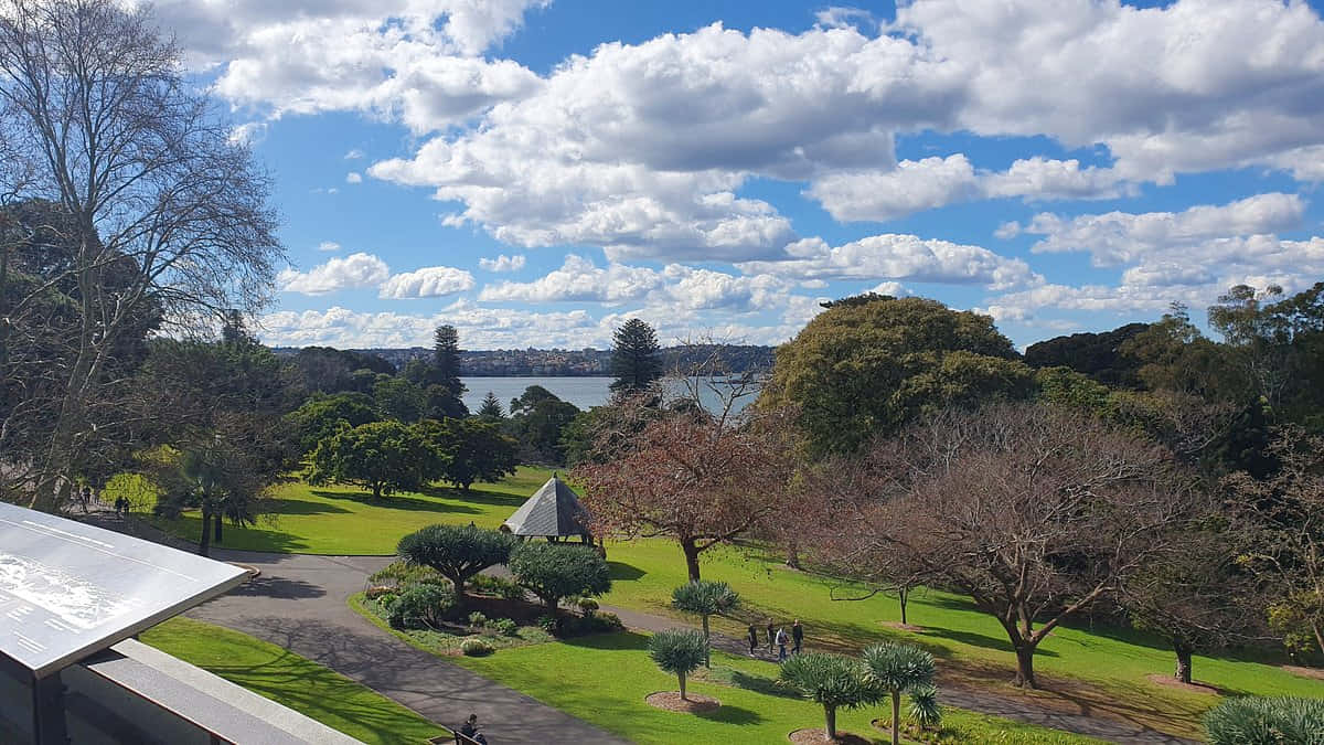 Sunny Dayat Royal Botanic Garden Sydney Wallpaper