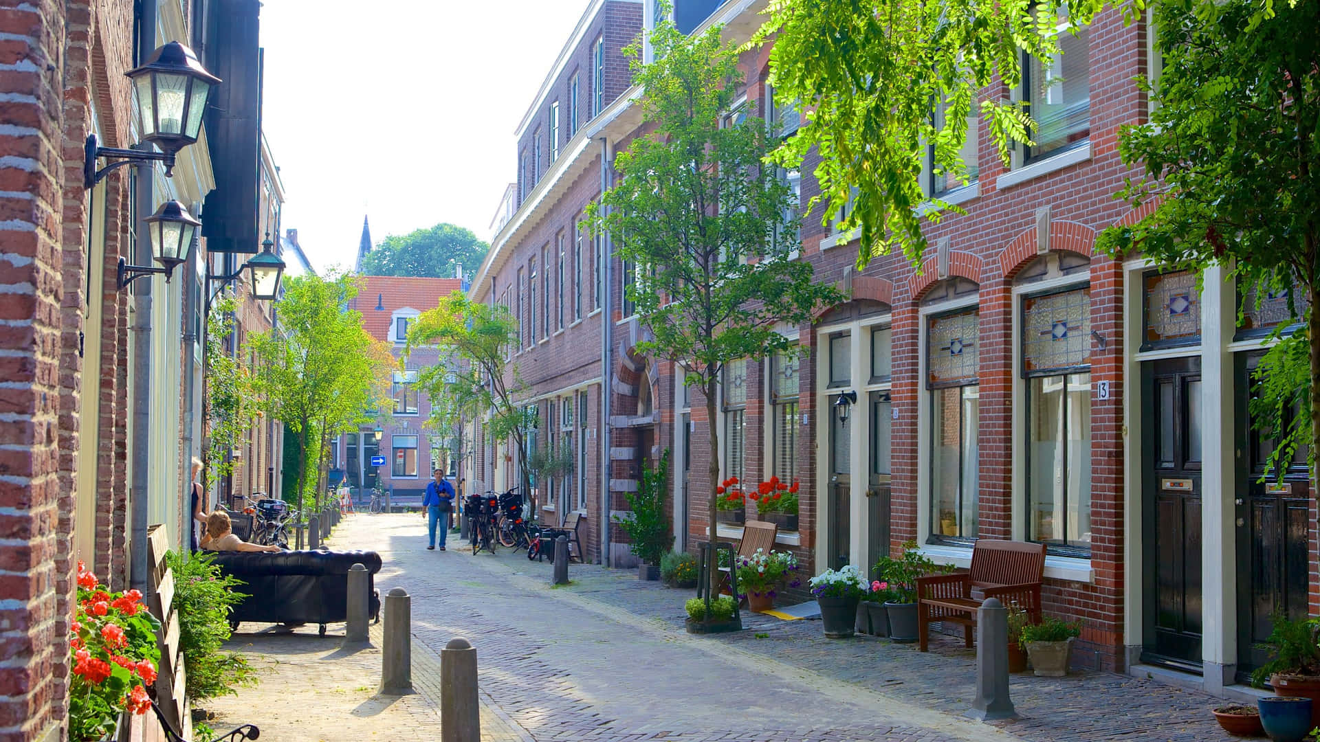 Sunny Dayin Haarlem Cobblestone Street Wallpaper