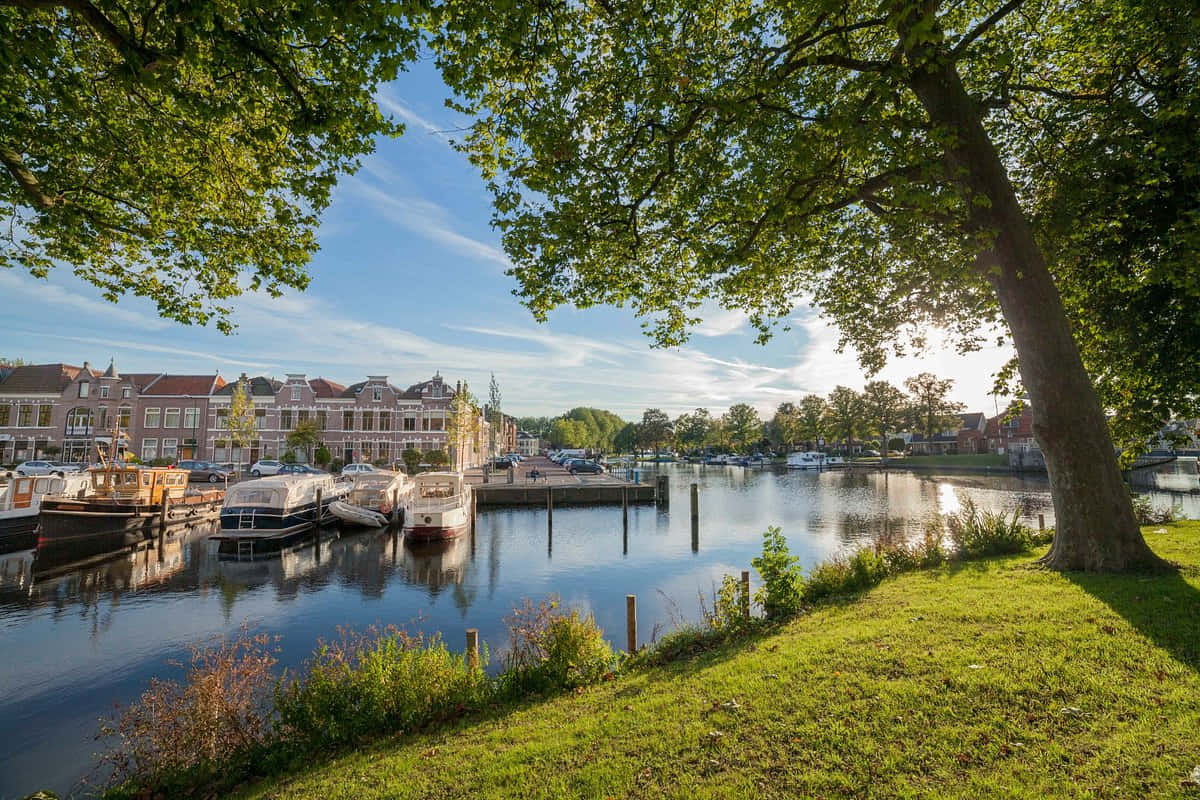 Sunny Dayin Woerden Harbor Wallpaper