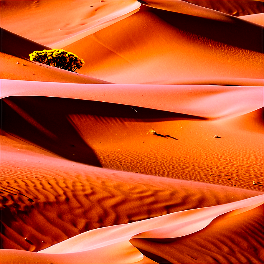 Sunny Desert Dunes Png 30 PNG