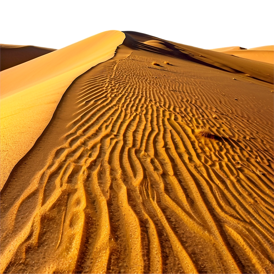 Sunny Desert Dunes Png Npq40 PNG