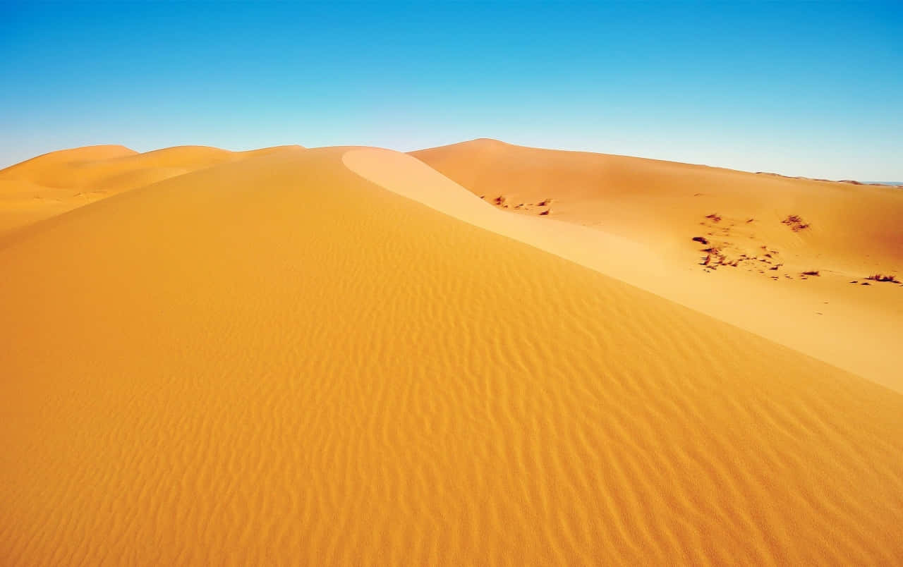 Sabbiadel Deserto Soleggiata Sfondo
