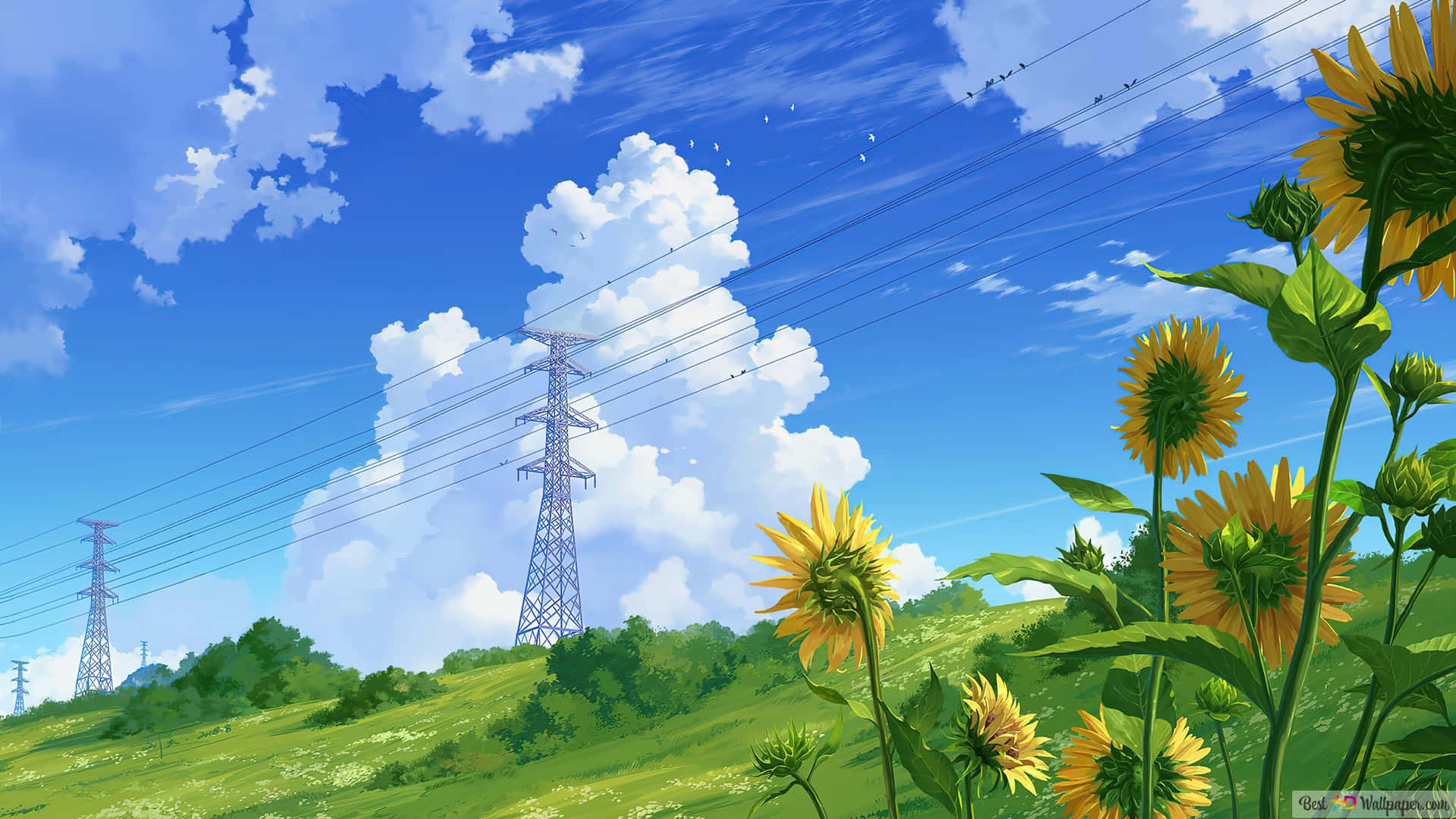Sunny_ Field_with_ Sunflowers_and_ Powerlines_ Anime_ Scene Wallpaper