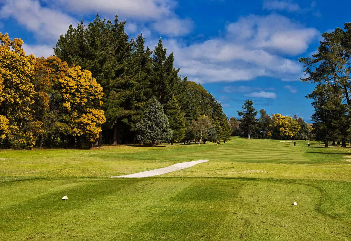 Sunny Golf Course Hastings New Zealand Wallpaper