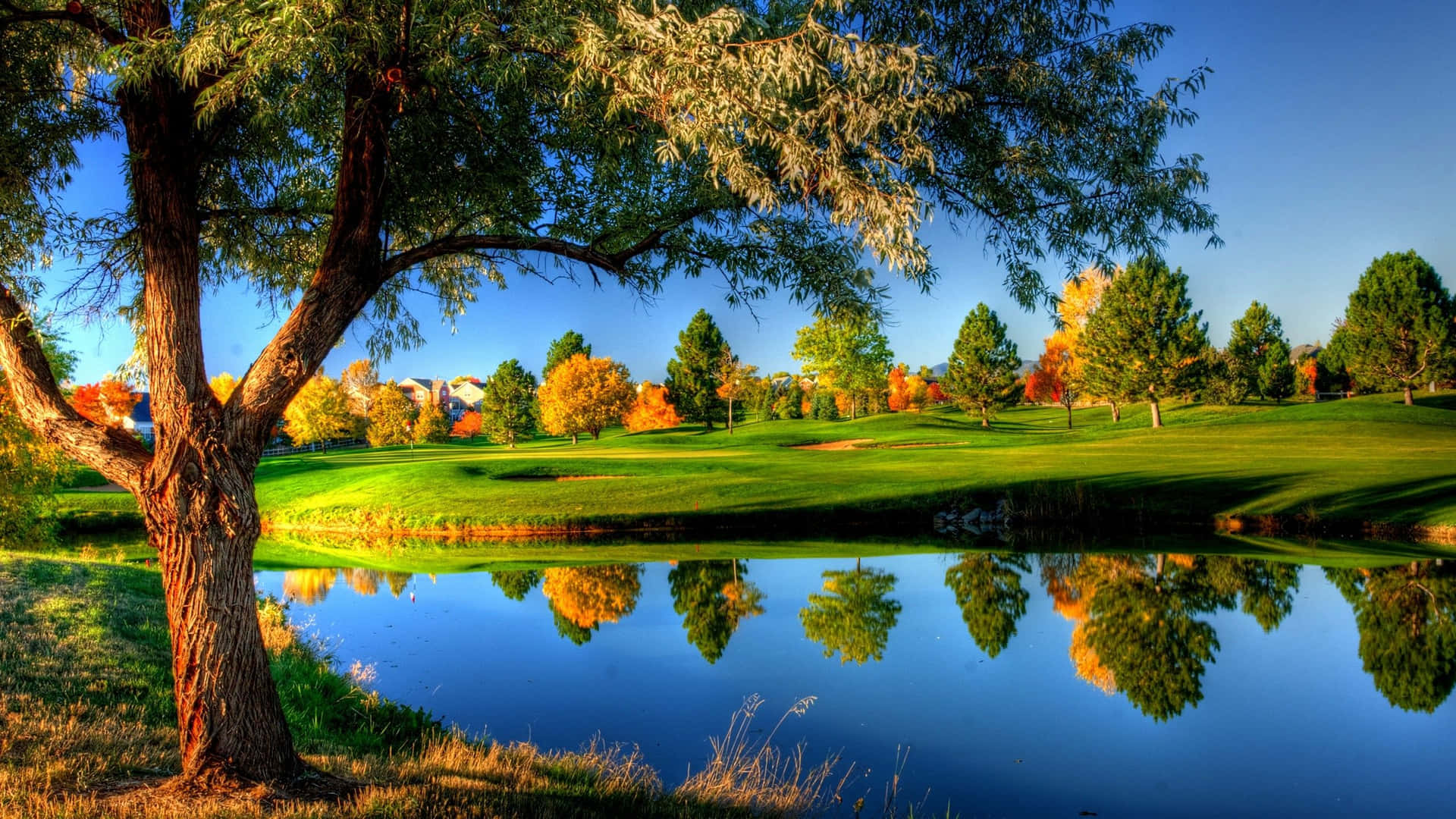 Sunny Golf Course Landscape Wallpaper