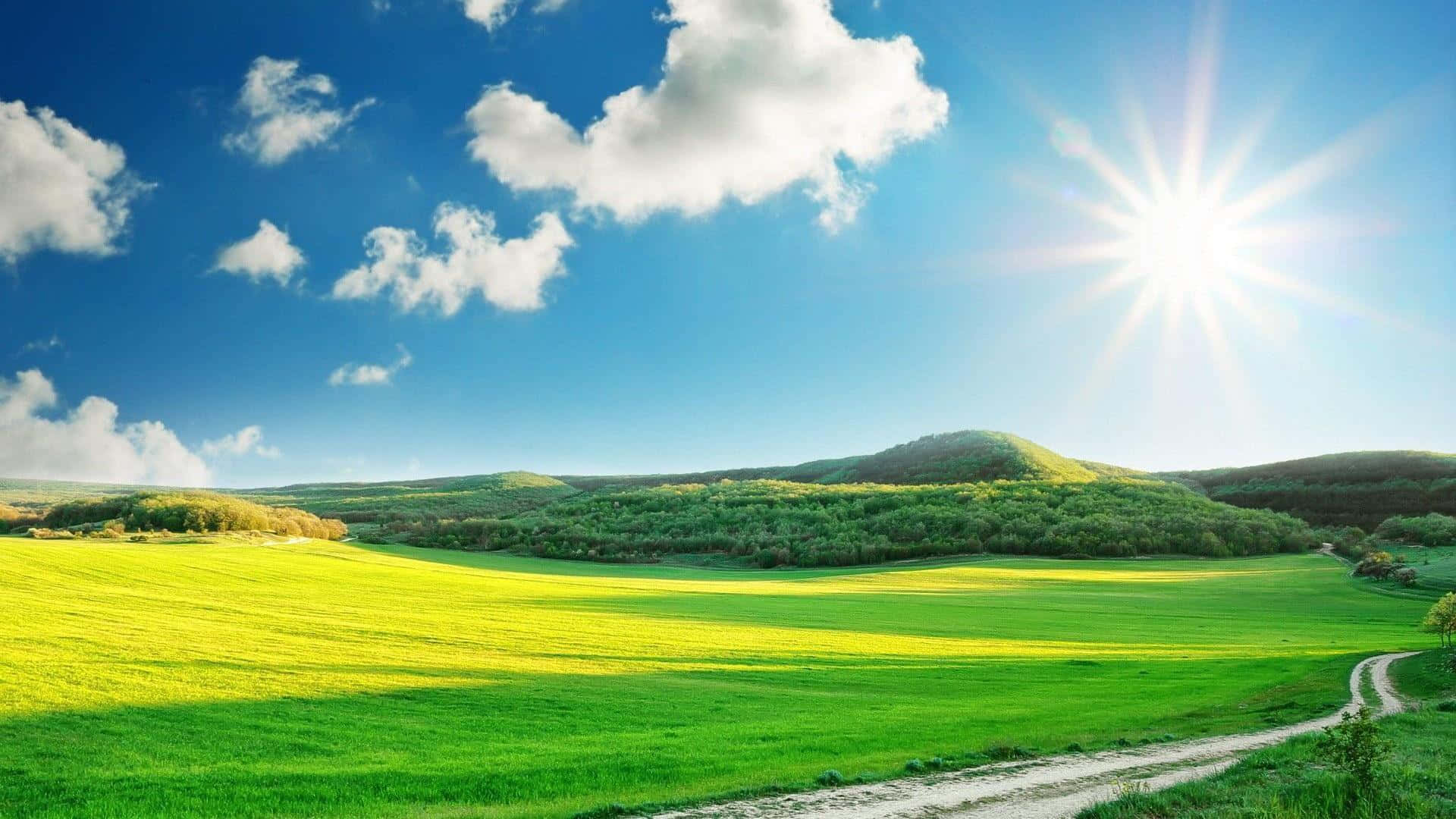 Download Sunny Green Hills Landscape Wallpaper | Wallpapers.com