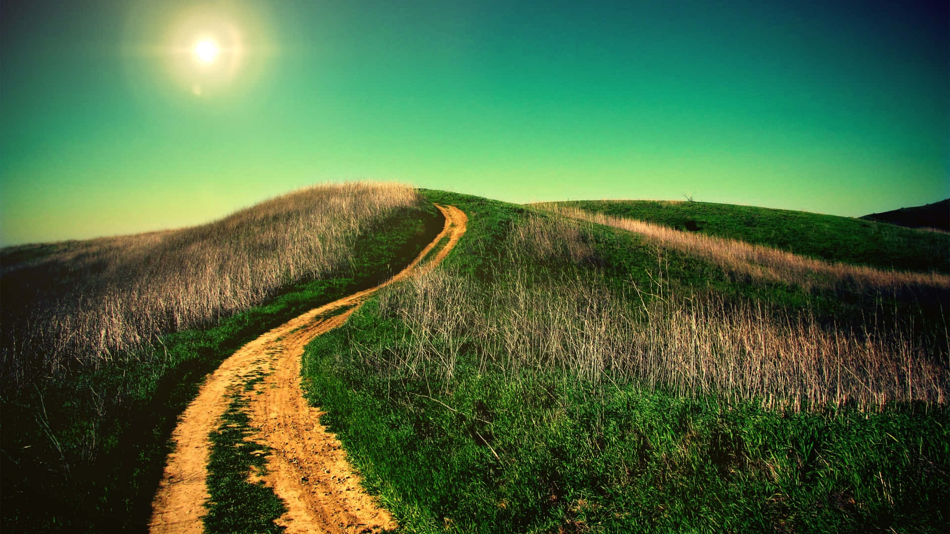 Sunny_ Hillside_ Trail.jpg Wallpaper