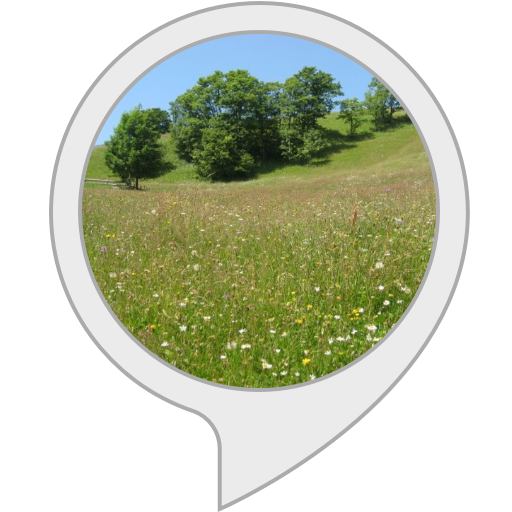 Sunny Meadow Speech Bubble PNG