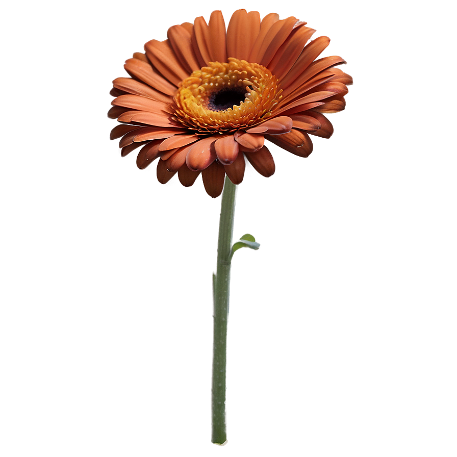 Sunny Orange Gerbera Png Vdv54 PNG