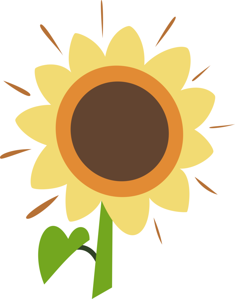 Sunny Sunflower Graphic PNG