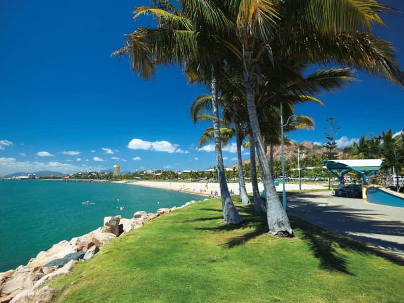 Sunny Townsville Beachfront Wallpaper