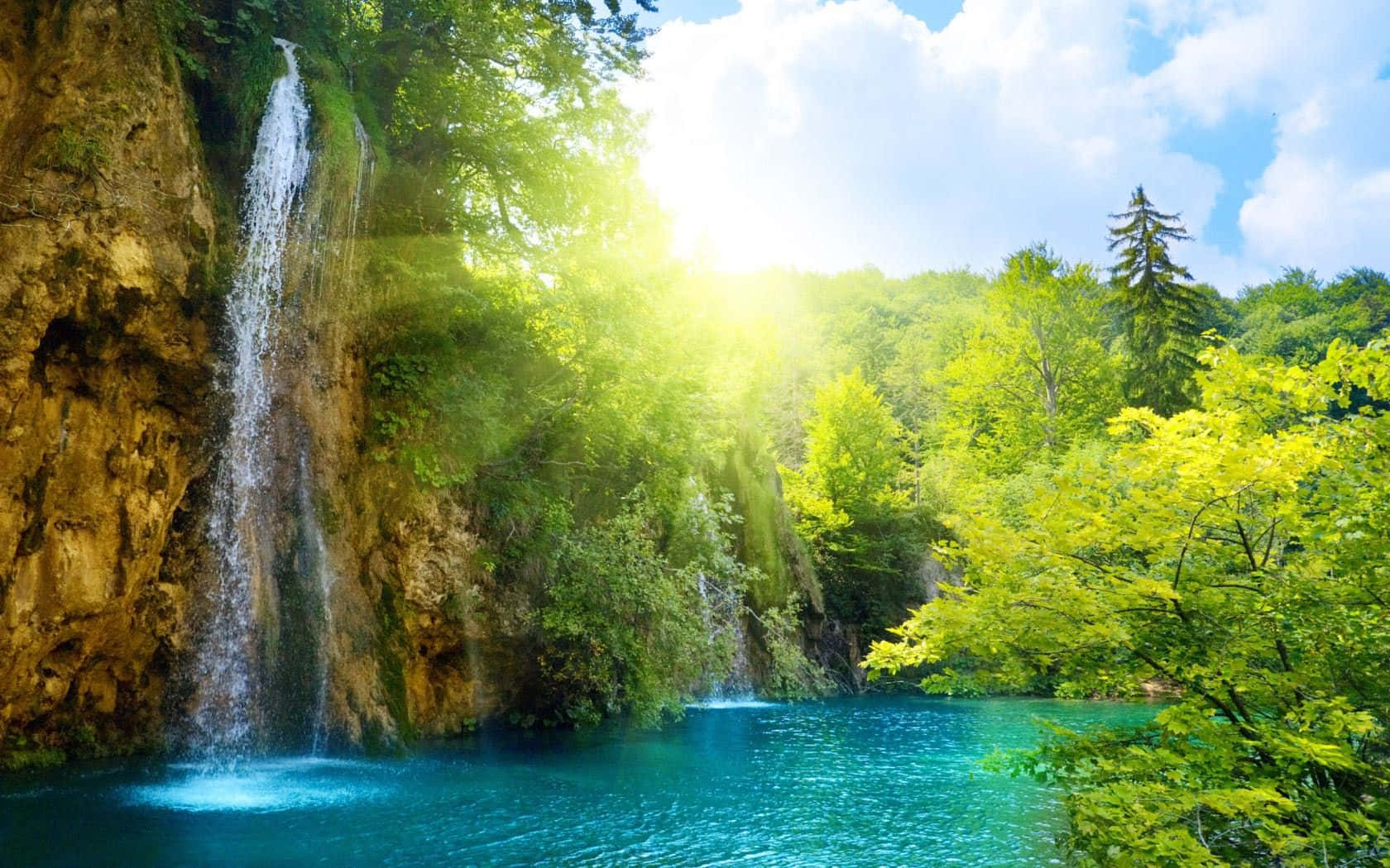 Sunny Waterfall Paradise Wallpaper