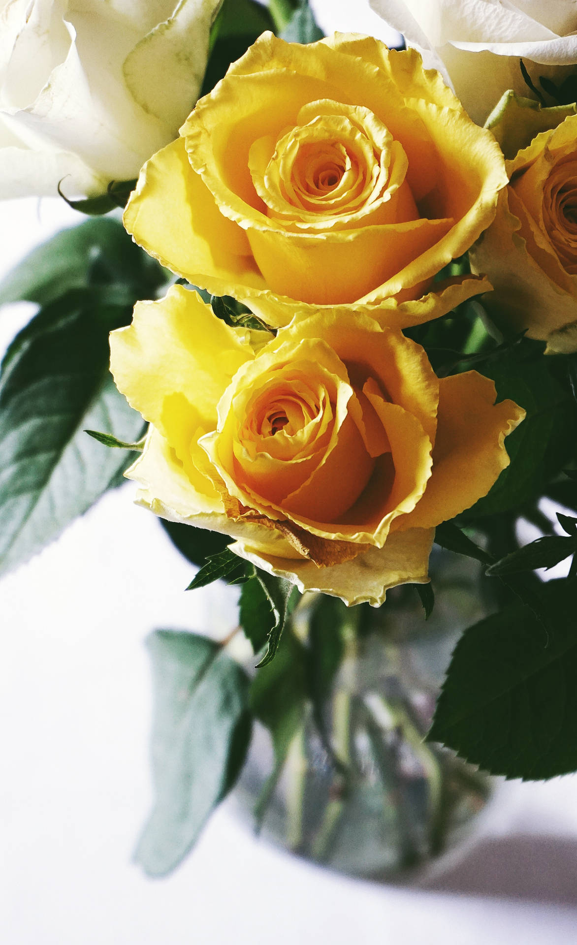 Floresde Rosas Soleadas Amarillas. (context: The Description Of A Computer Or Mobile Wallpaper Featuring Sunny Yellow Rose Flowers.) Fondo de pantalla