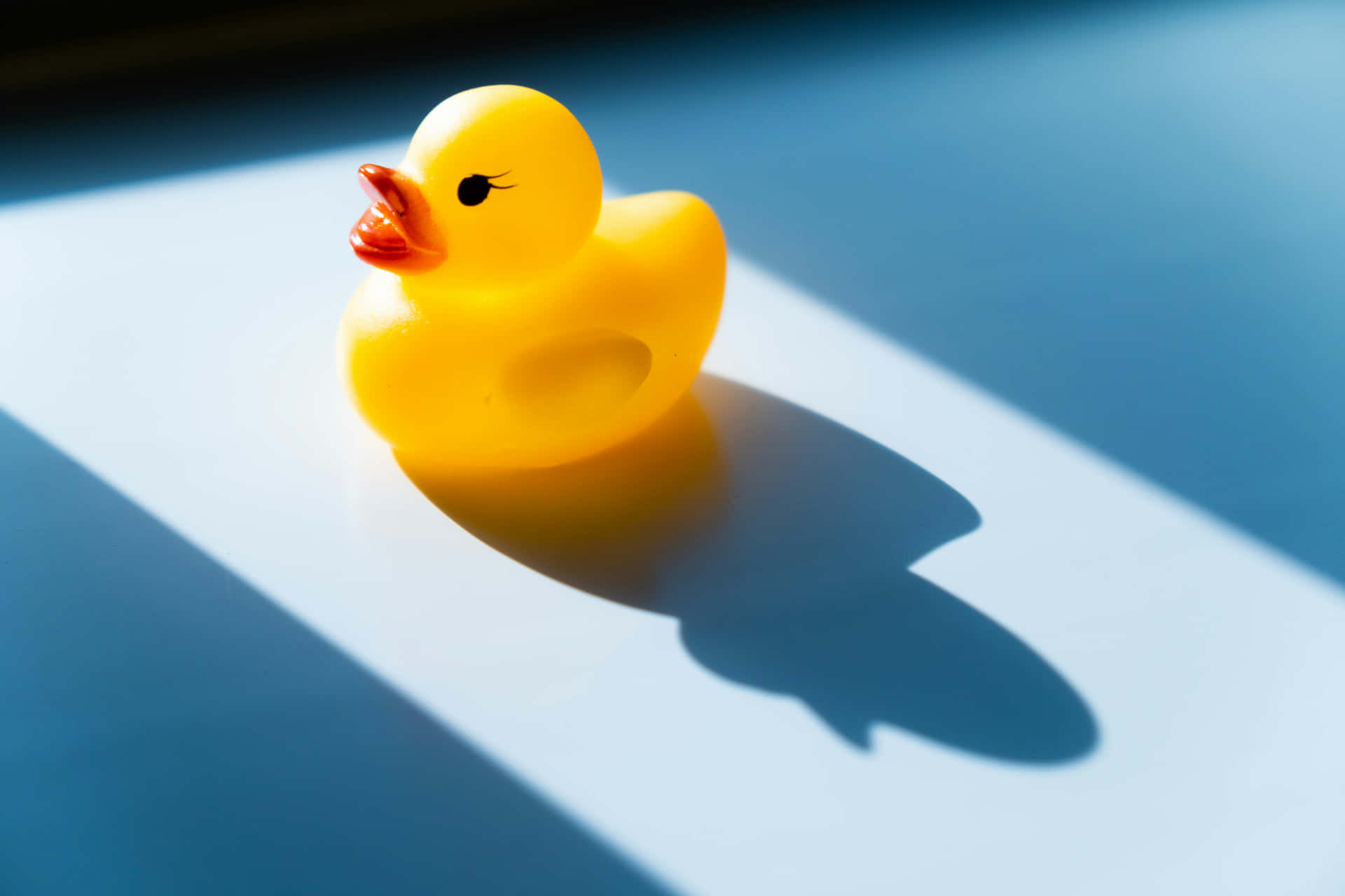 Sunny Yellow Rubber Duck Shadow Wallpaper