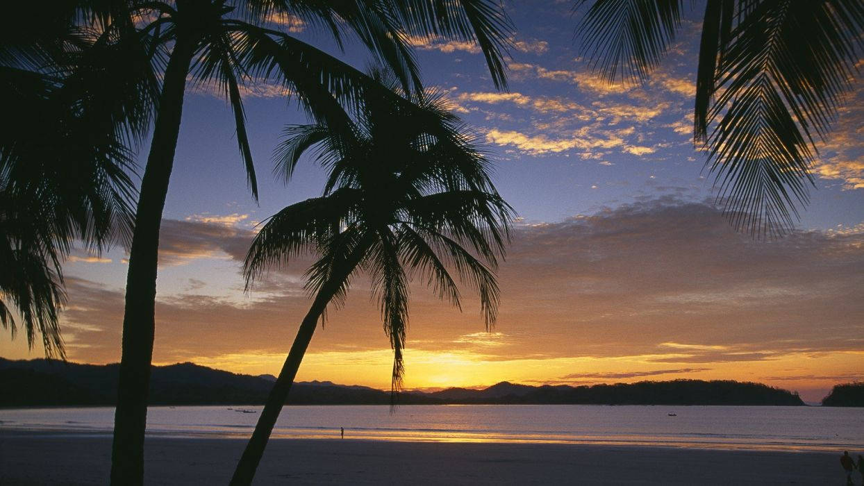 Sunrise At Costa Rica Beach