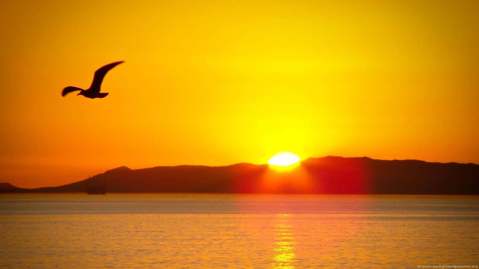 "Harness the beauty of the sunrise with the Sunrise Desktop." Wallpaper