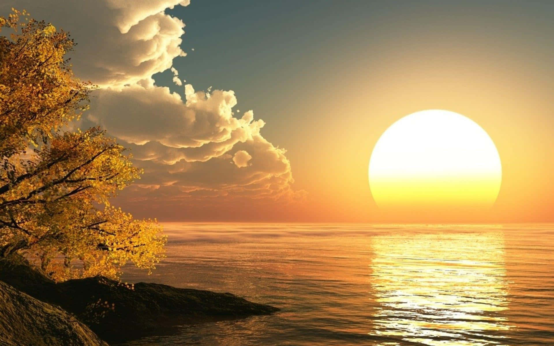 A Sunset Over The Ocean With A Tree Wallpaper