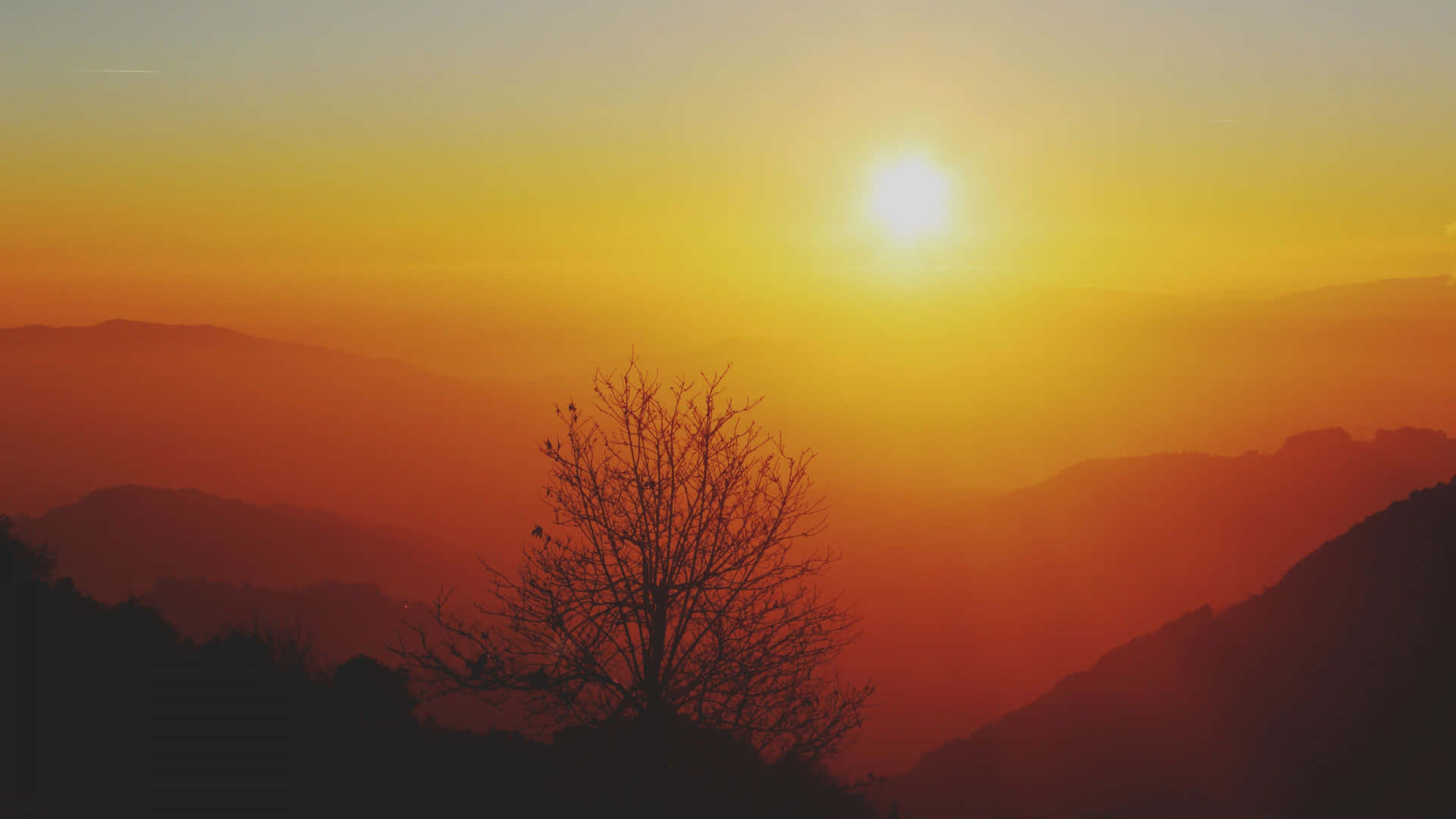 Startensie Den Tag Mit Einem Wunderschönen Blick Auf Den Sonnenaufgang Von Ihrem Desktop Aus. Wallpaper