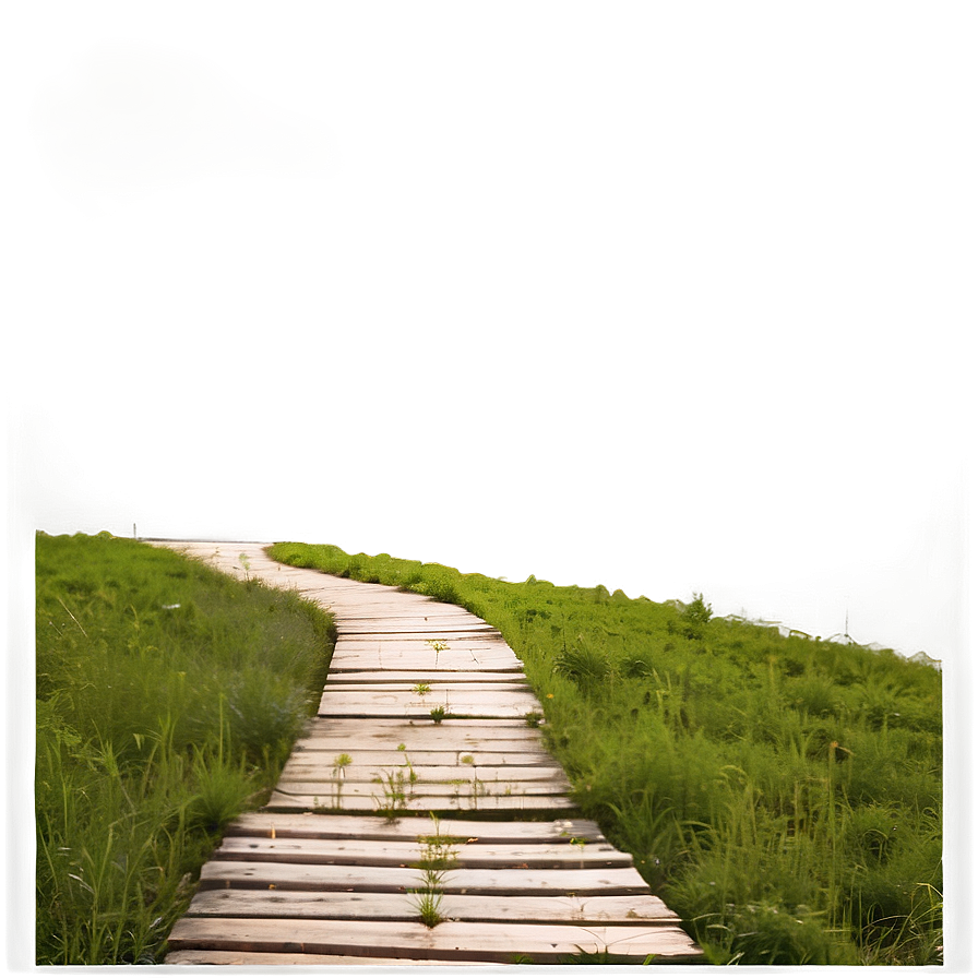 Sunrise Hiking Path Png Nsh10 PNG