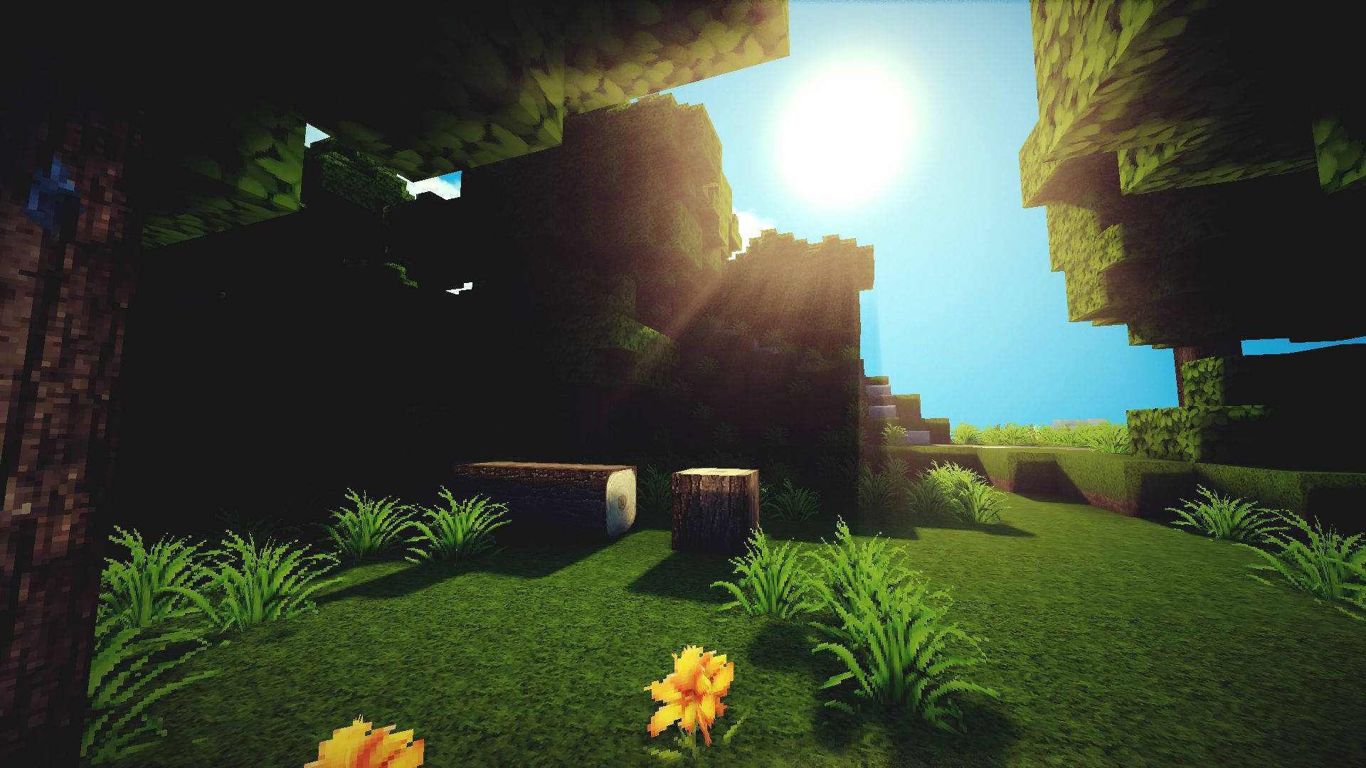 Sunrise In Forest Minecraft Hd