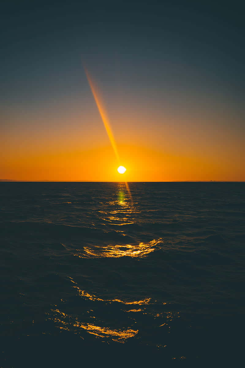 "Start your day in awe of the sunrise" Wallpaper