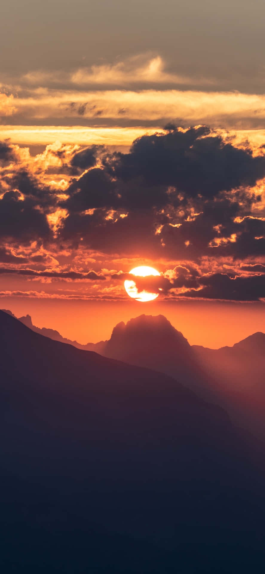 Enjoy the Sunrise with your IPhone Wallpaper