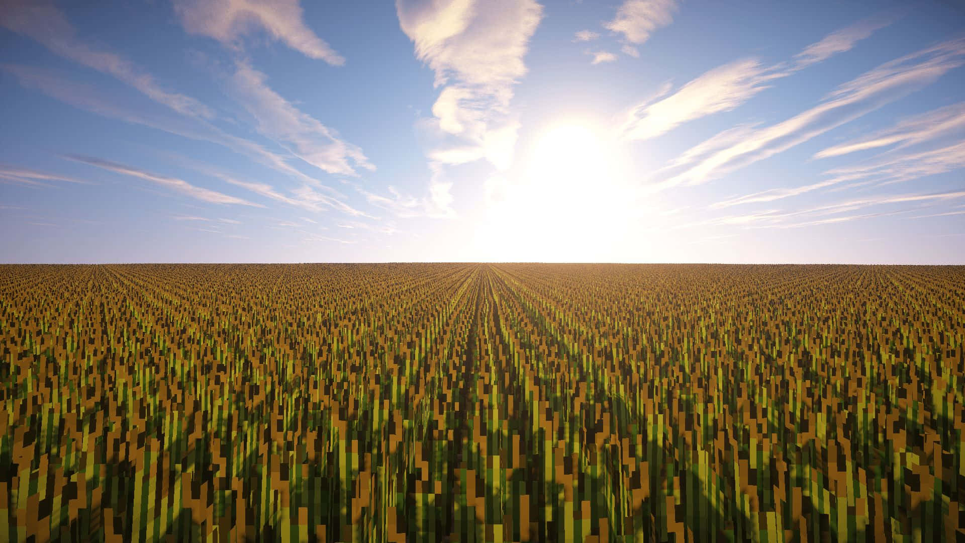 Sunrise Over Wheat Field Wallpaper
