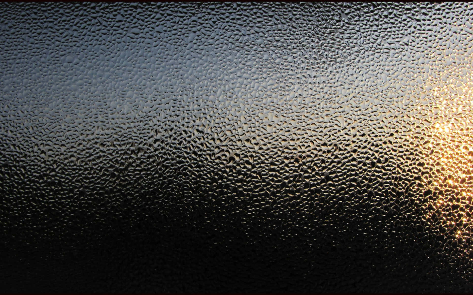 Sunrise Through Textured Glass Wallpaper
