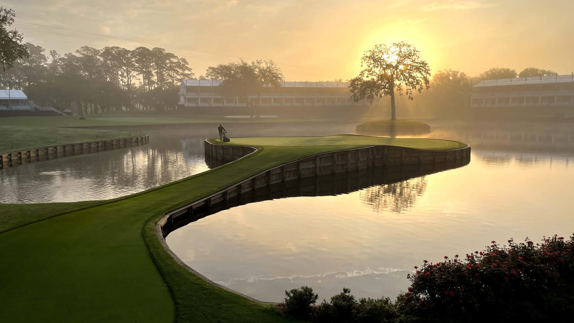 Zonsopgang Bij T P C Sawgrass 17e Hole Achtergrond