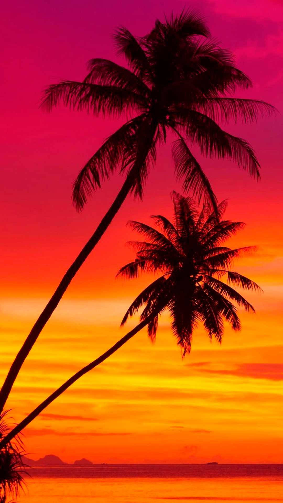 Sunset And Palm Trees Malibu Iphone