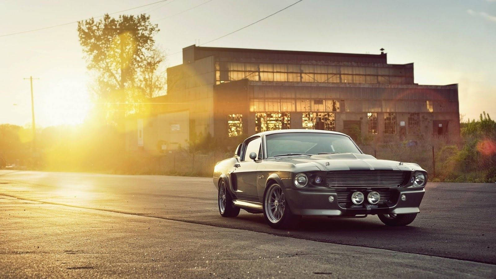 Solnedgang og Shelby Mustang Muskelbil Wallpaper