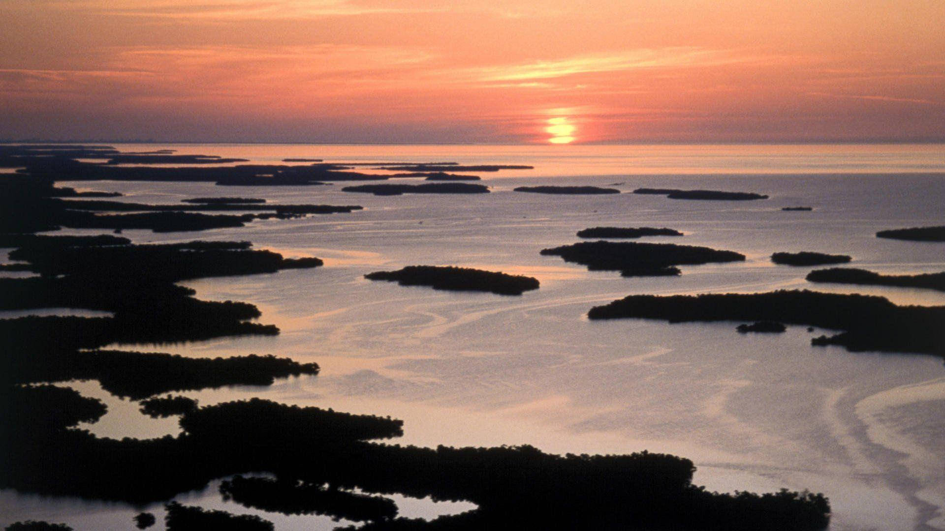 Sunset At Everglades National Park Picture