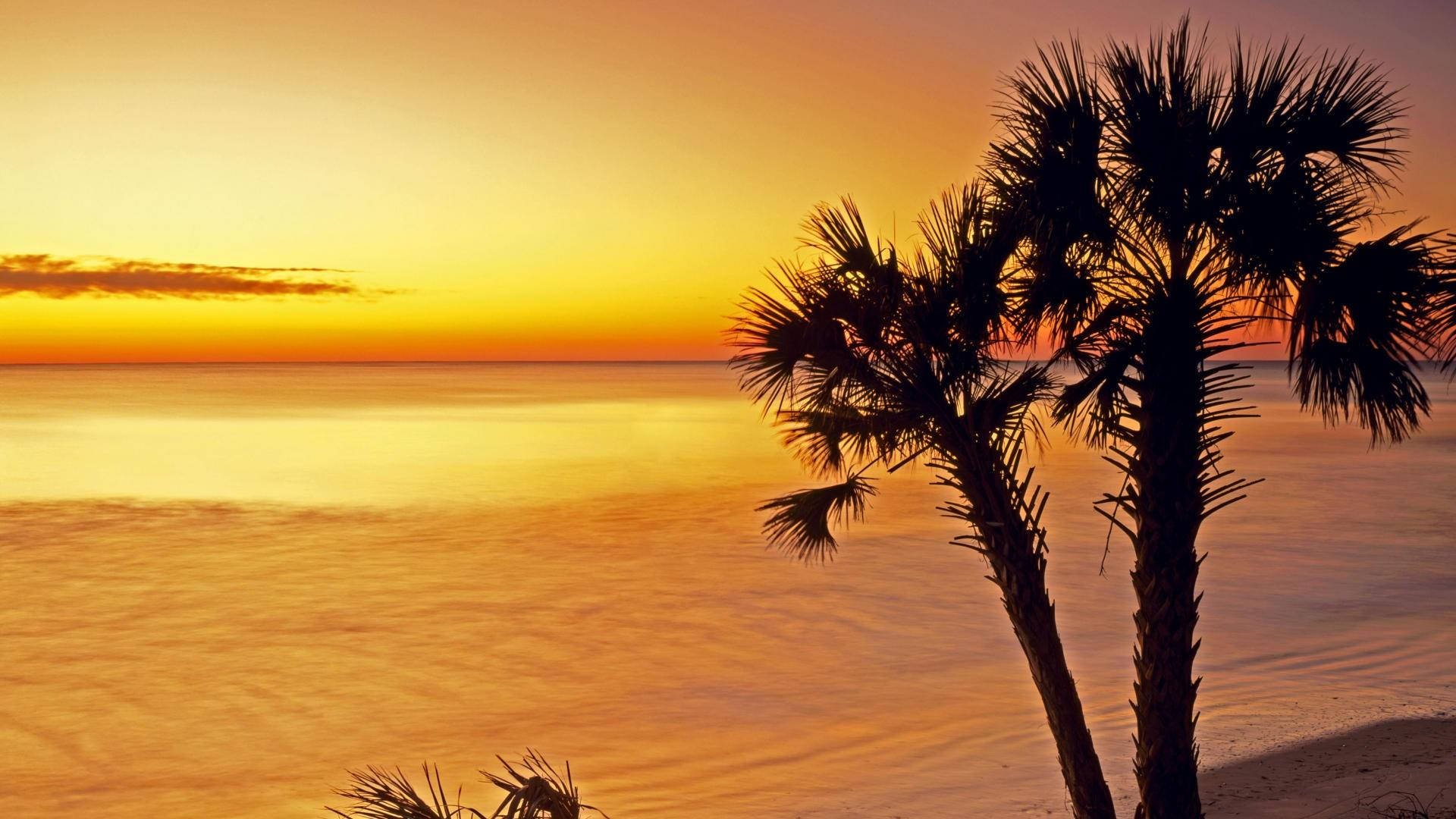 Puestade Sol En La Playa De Carolina Del Sur. Fondo de pantalla