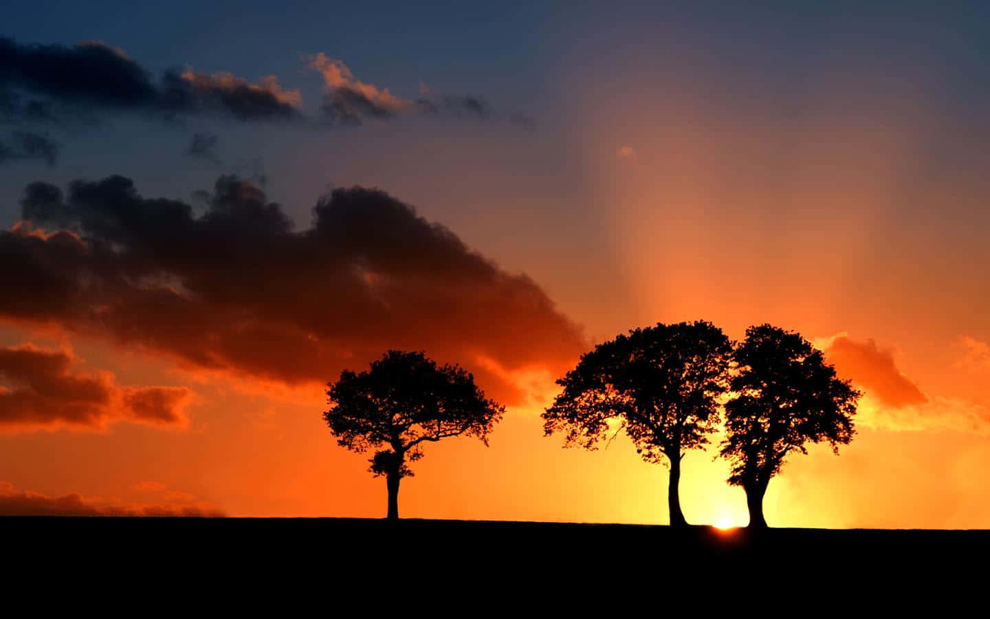 three trees silhouetted against the sunset