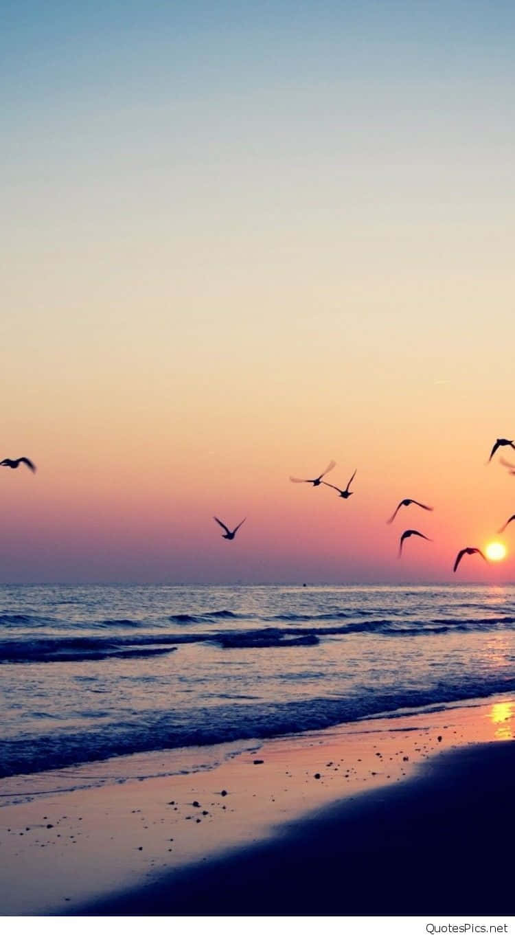 Enjoy the breathtaking beauty of a sunset beach on your iPhone Wallpaper